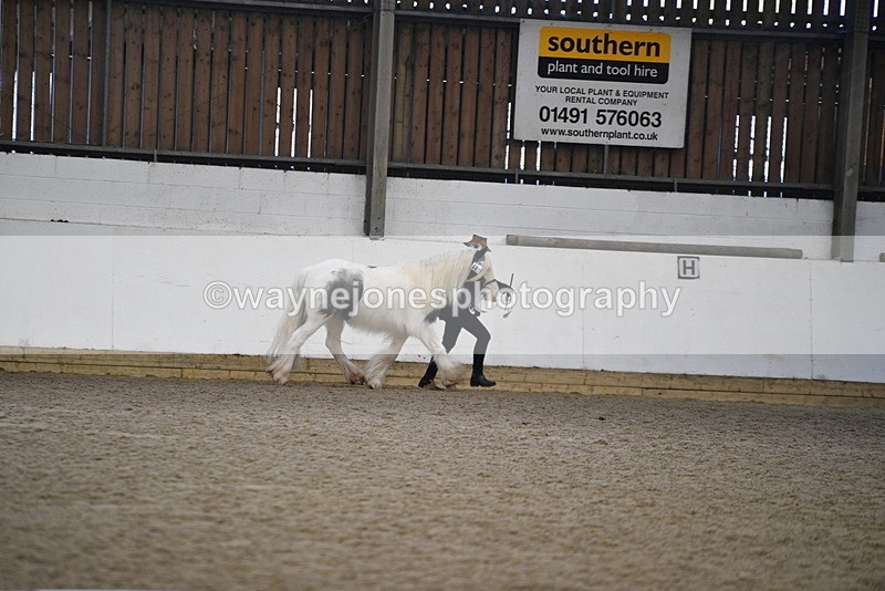 WJ5_5264 - Class 8 In hand cob