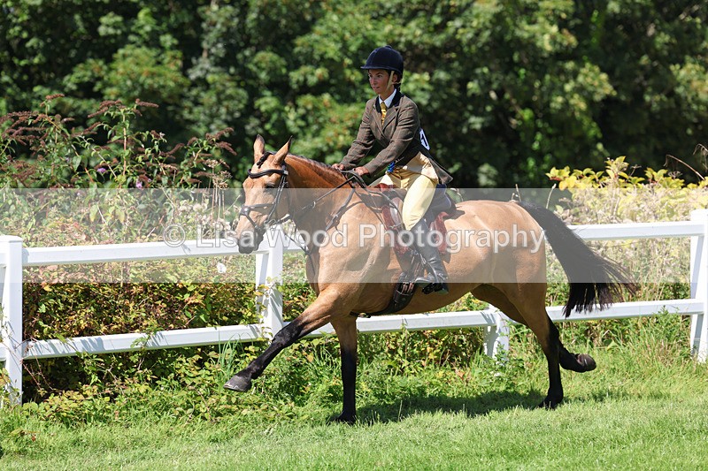 3E7A9226 - Working Hunter Championship