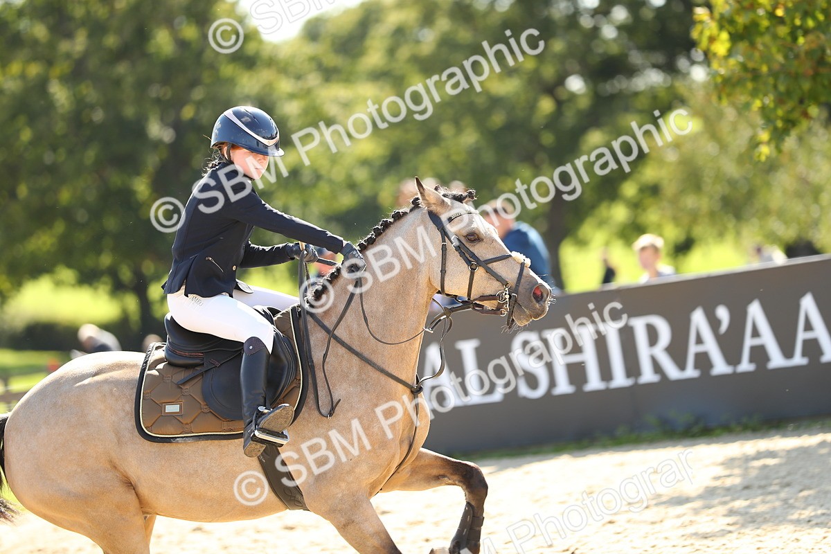 SBM_24348 - J45 - Accumulator 70 80cm