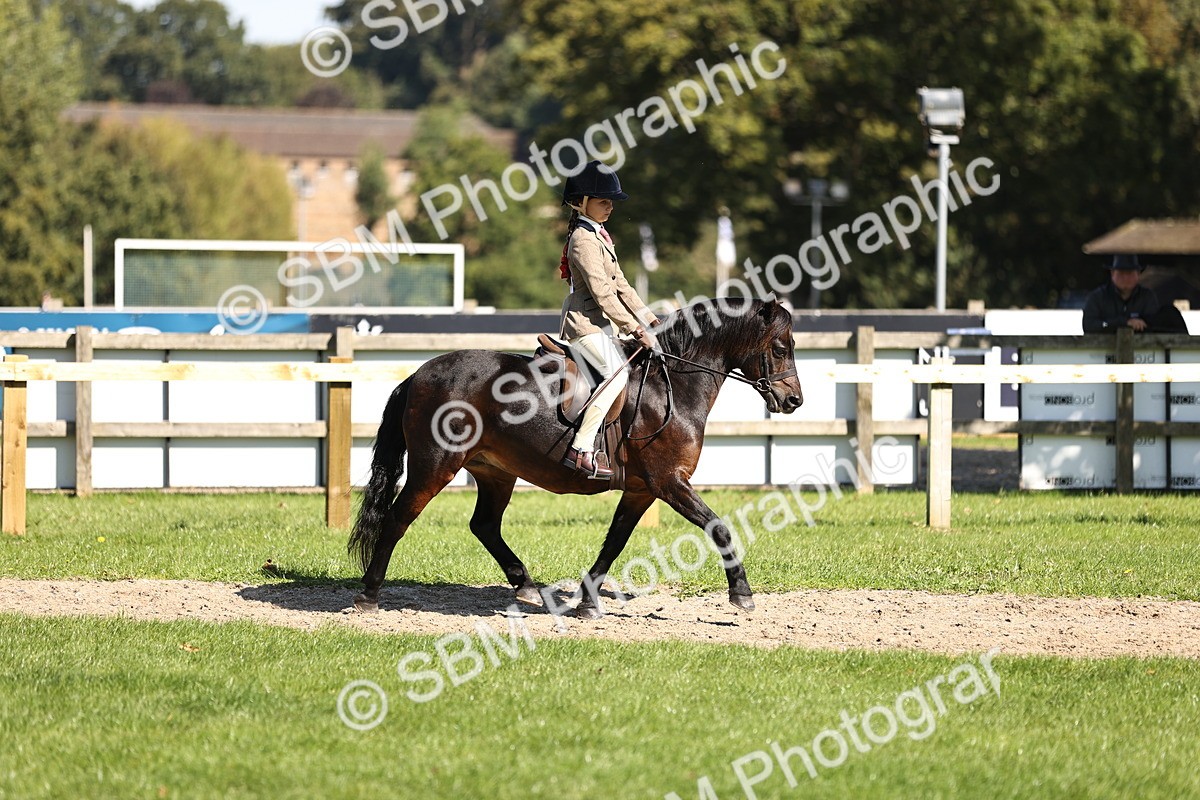 SBM_19332 - S3 - TSR Ridden Pony Showing