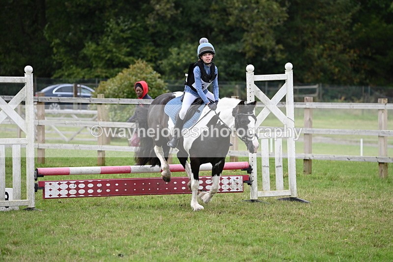 WJ6_1916 - 60cm Time 12:30 to 12:49