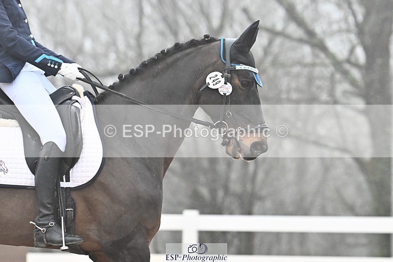 250215-105408-03101 - 249-Alys.Matravers-VORVASHILL.VERTIGO