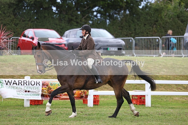 3E7A1474 - Class 9: Open Hunter