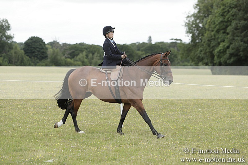 BVR160717-2363 - Side Saddle Classes 16/07/17