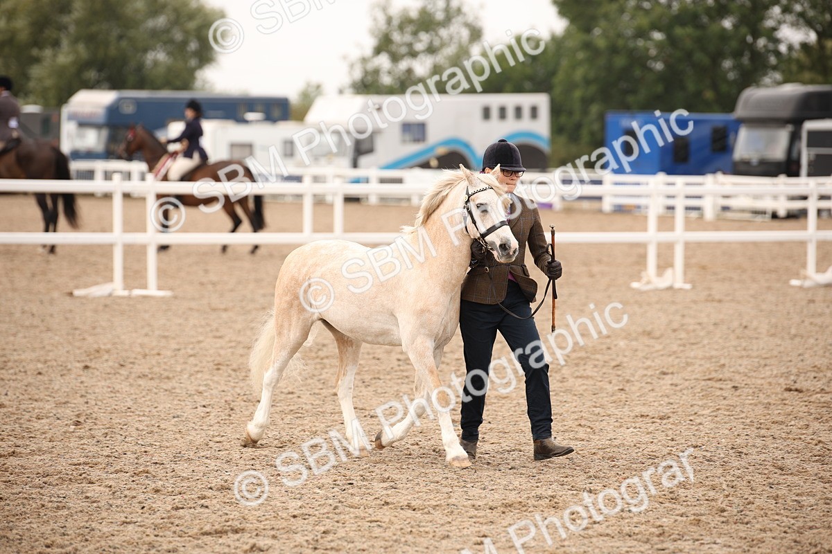 SBM_21507 - Class 706 - IH  Veteran