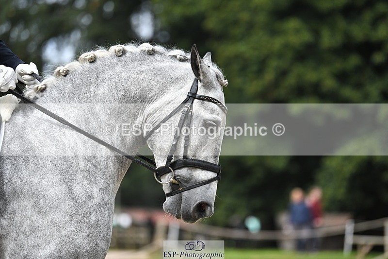 230812-103959-03434 - Cls 6 Novice Silver 10.30 to 11.55 break