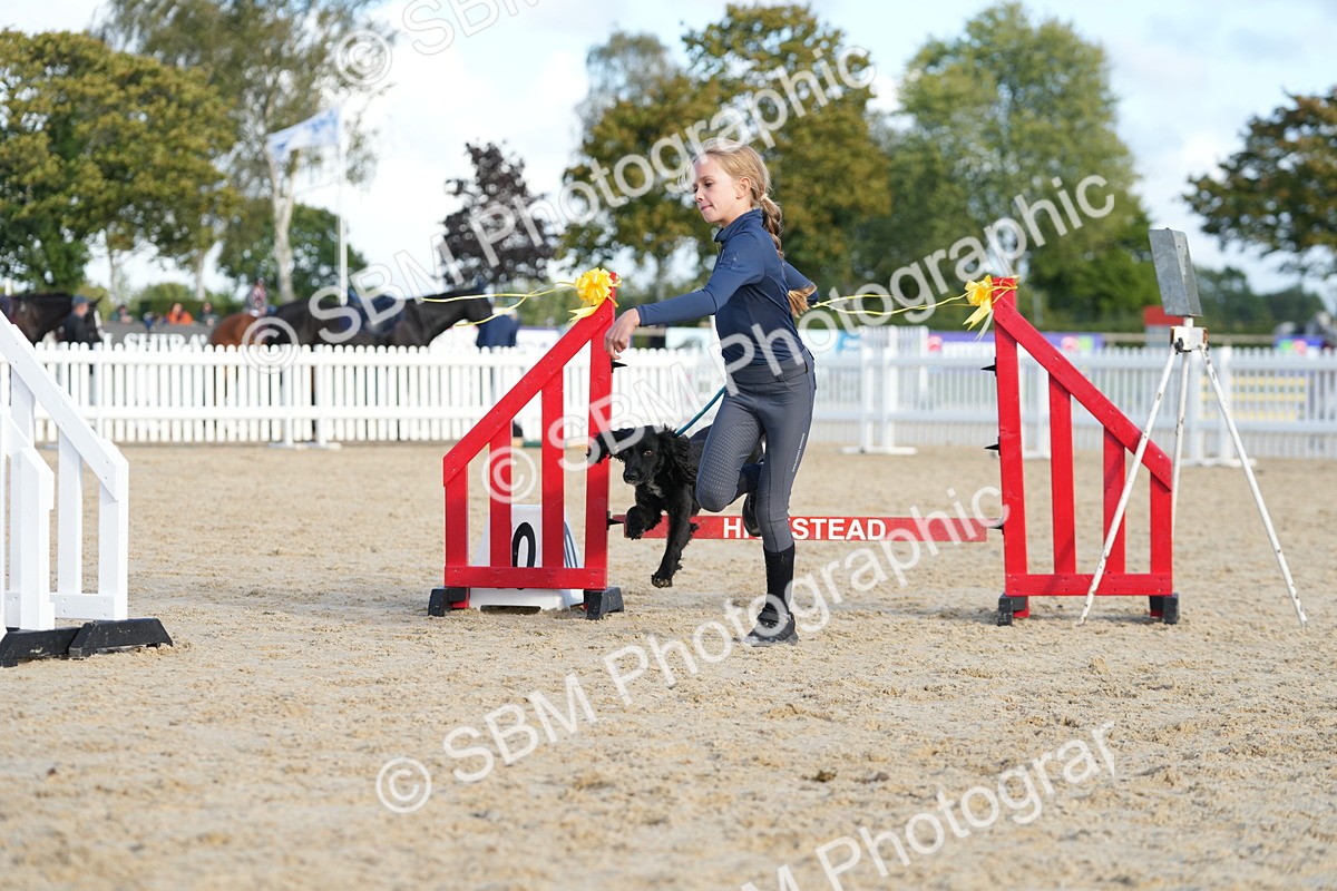 SBM_29123 - J43 - Horse & Hound Open 50cm