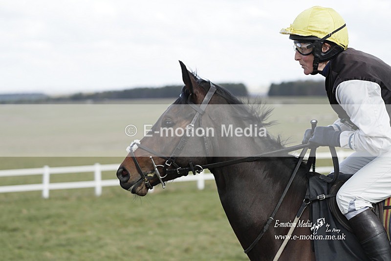 PtP 260223 65 - South & West Wilts Point-to-Point Larkhill 26/02/23