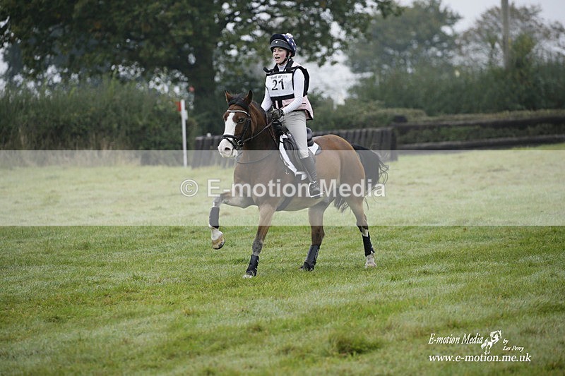 WWHT 171021 0157 - Novice Restricted (0.80m)  17/10/21