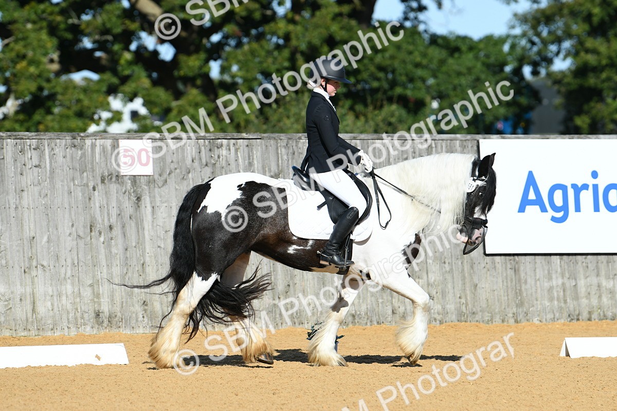 SBM_16270 - D4 - Small Tour Championship - Intro B