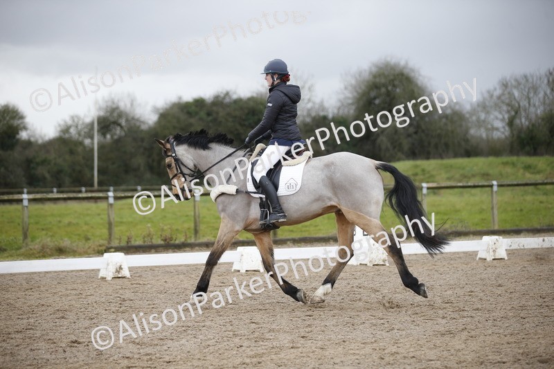 20260127-0394 - Class 17 - BD Novice 3