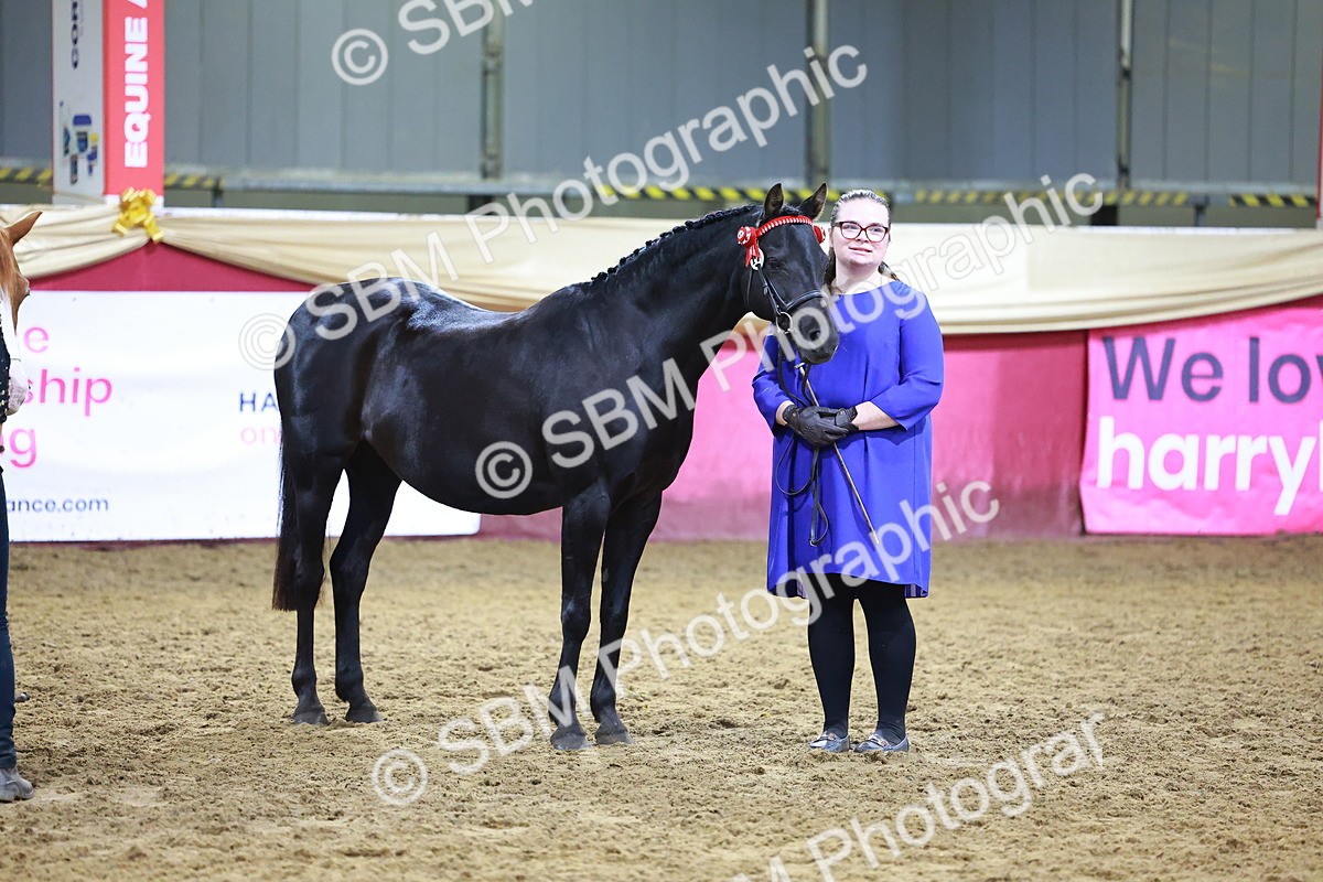 SBM_15552 - Class R - Veteran Champ