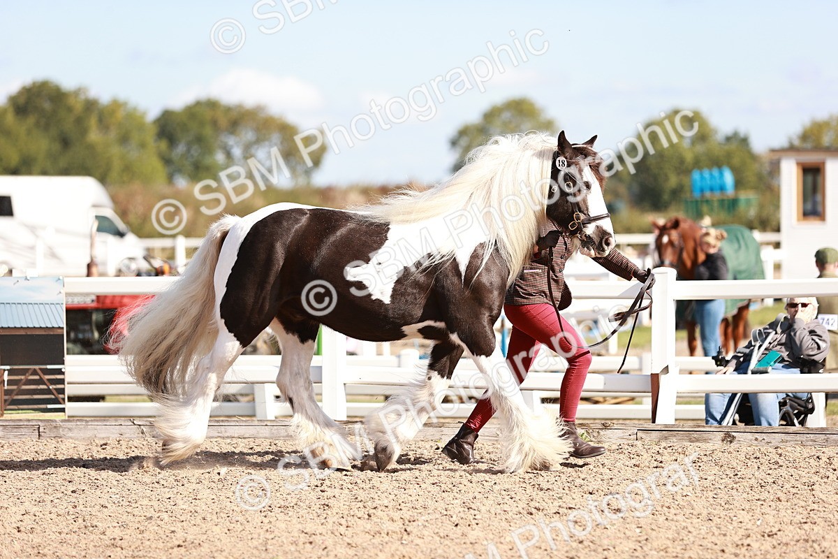 SBM_12561 - Class 404 - IH Traditional - Native Cob