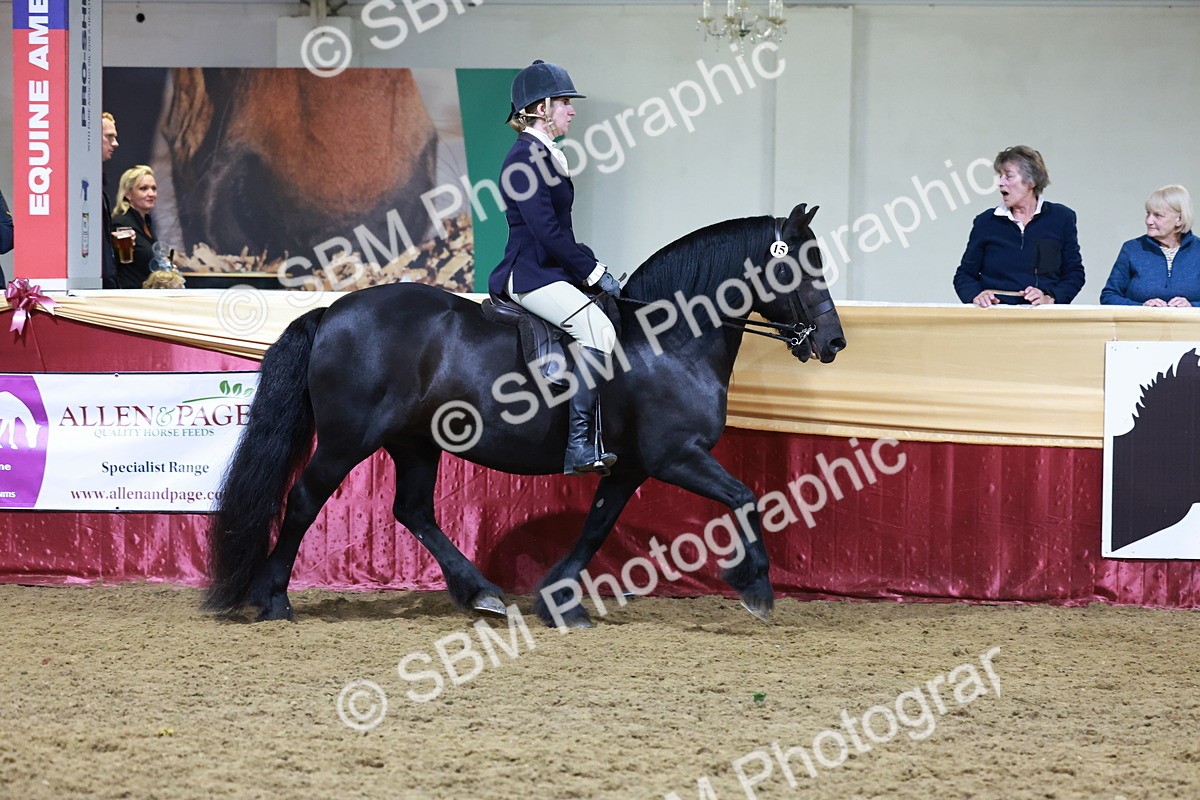 SBM_21074 - Class P - M&M Champs