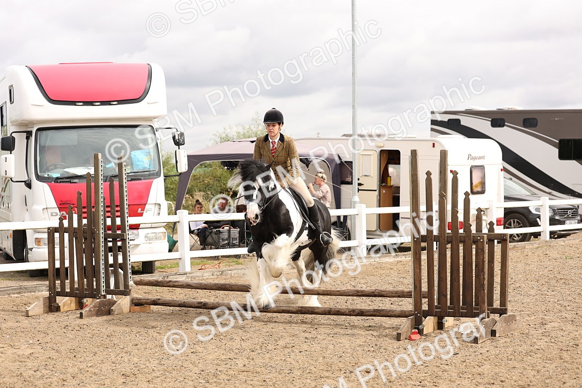 SBM_05121 - Class 56a -  Style & Performance - 50cm (15-19)