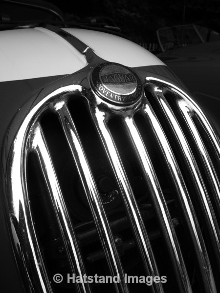 Jaguar - motorsport