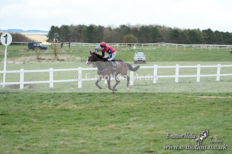 PtP 230324 685 - Tedworth Hunt PtP Larkhill Raccourse 23rd March 2024