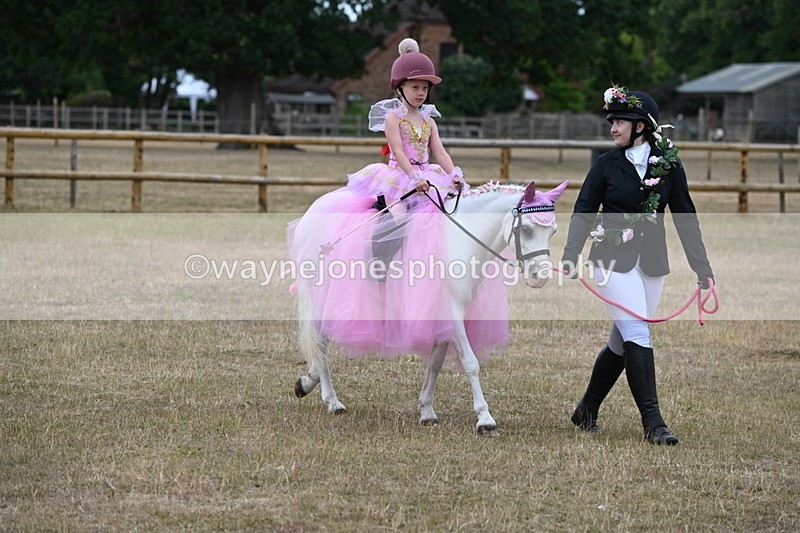 WJ6_8615 - Class 11 Fancy Dress