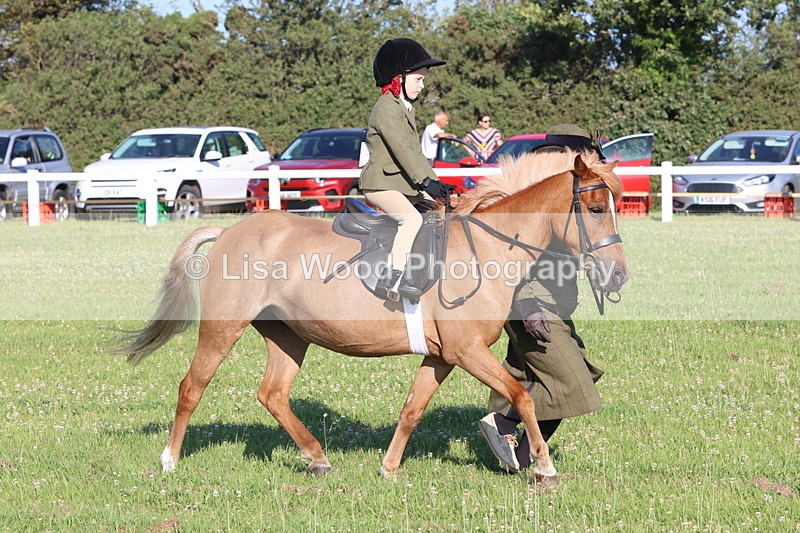 JPP_0761 - Class 16: Cornish Combination Leading Rein