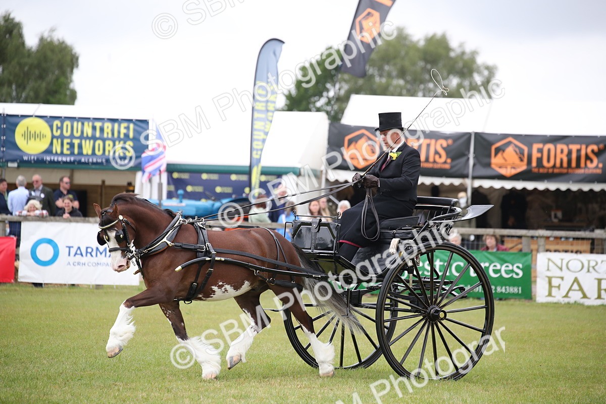 SBM_05845 - Class 12-15 - HOYS Private Driving