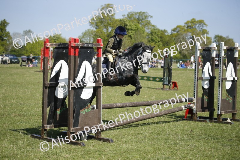 20250427-2146 - Class 13 - Novice Jumping 60cm