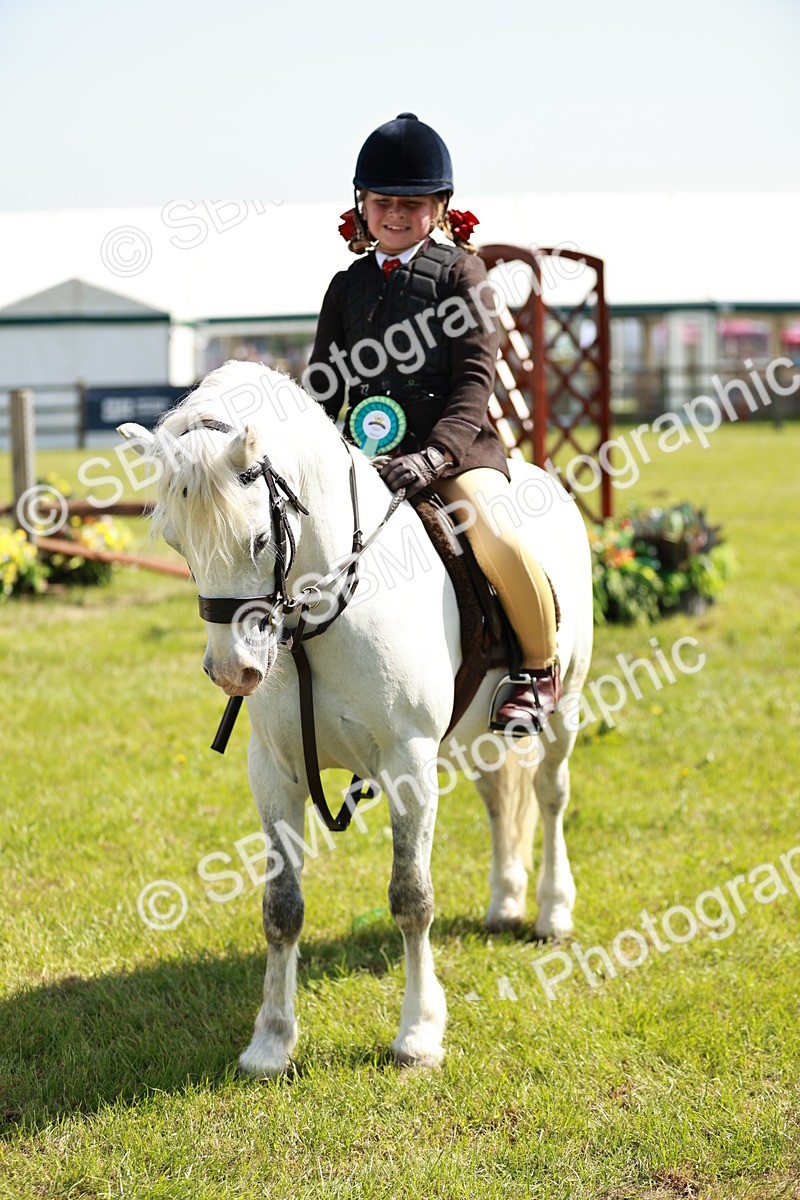 SBM_12825 - Class 106-107 - BSPS LIHS Working Sports Pony