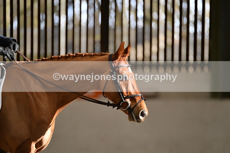 WJ5_1760 - Time 09:52 to 10:25