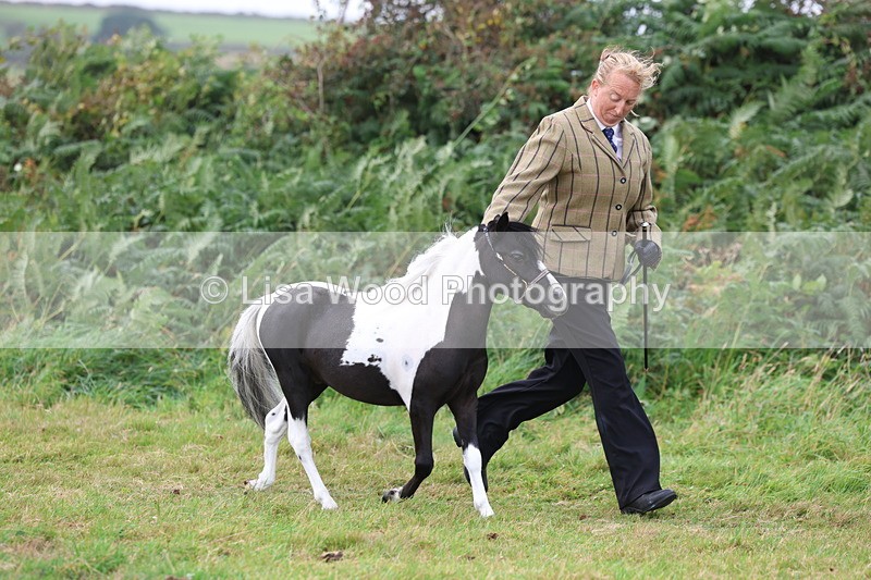 3E7A4101 - Class 15: Two Year Olds