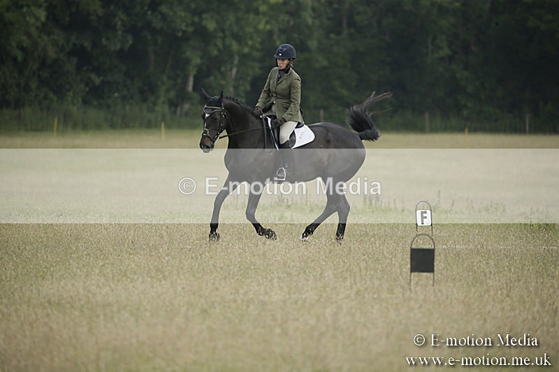 B230619-0146 - Bourne Valley Riding Club Summer Show 23/06/19