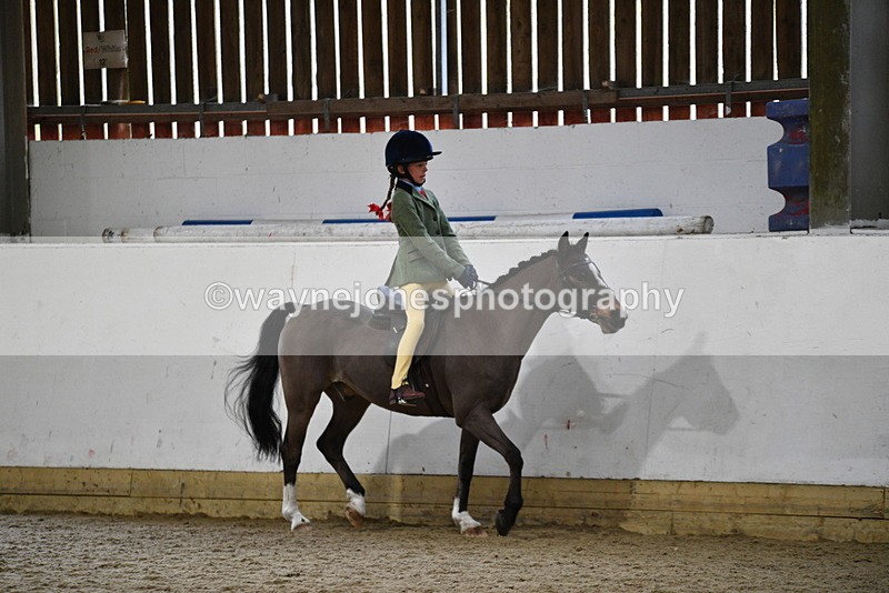 WJ5_7197 - Class 11 Ridden PC - RC Pony