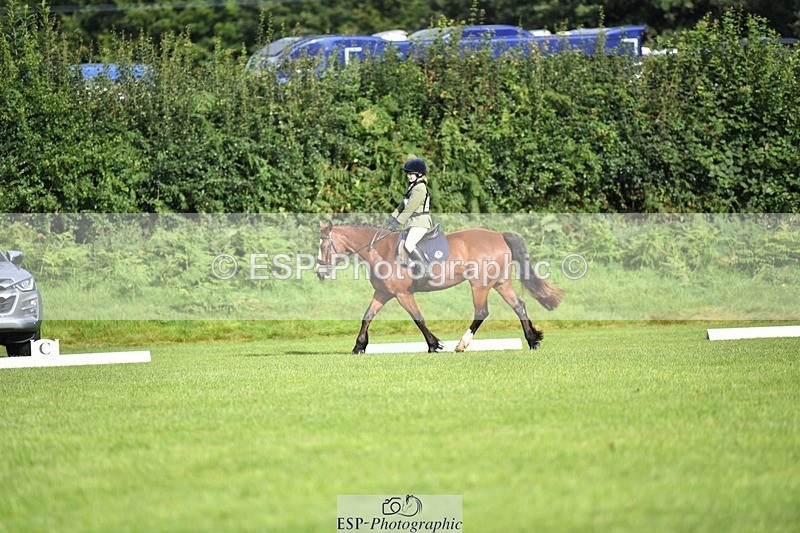 230826-090504-15019 - Sections C & D 9 to 10am