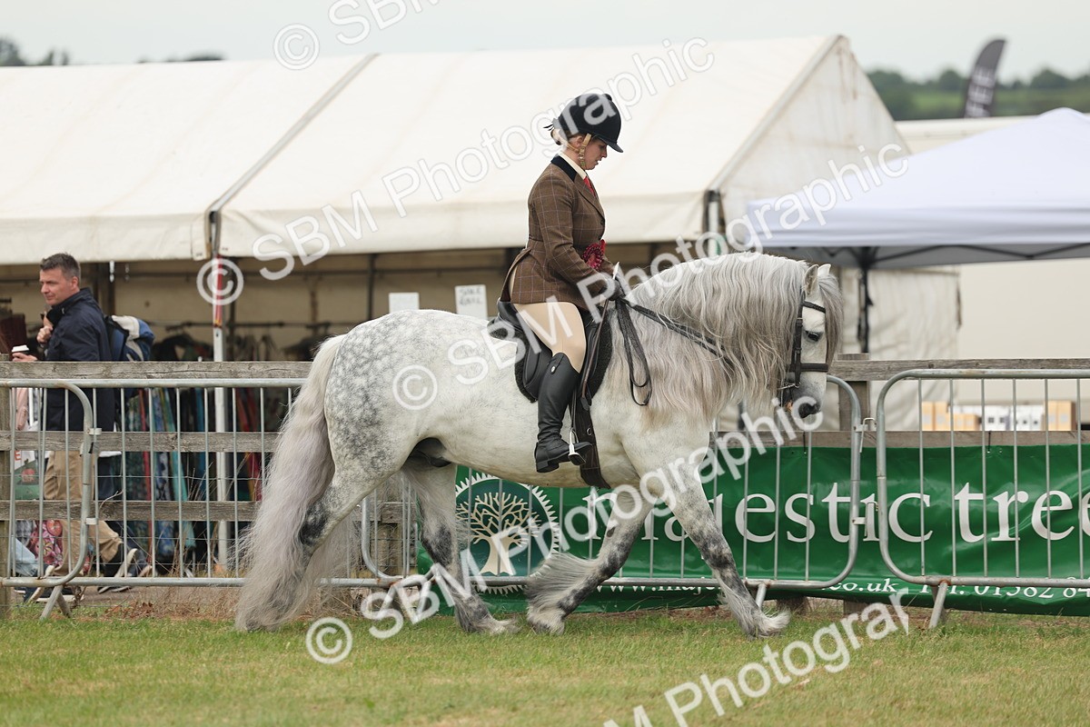 SBM_09094 - Class 78-80 - Ridden M&M Non Welsh Ponies