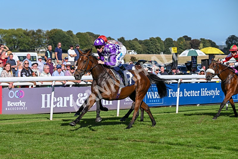 220926-Race 3-Call Me Tomorrow-3628 - Race 3 2.40pm Christmas Parties R Us Restricted Novice Stakes