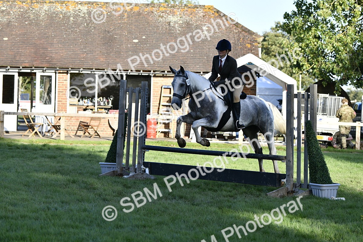 SBM_53550 - S14 - Riding Club Horse
