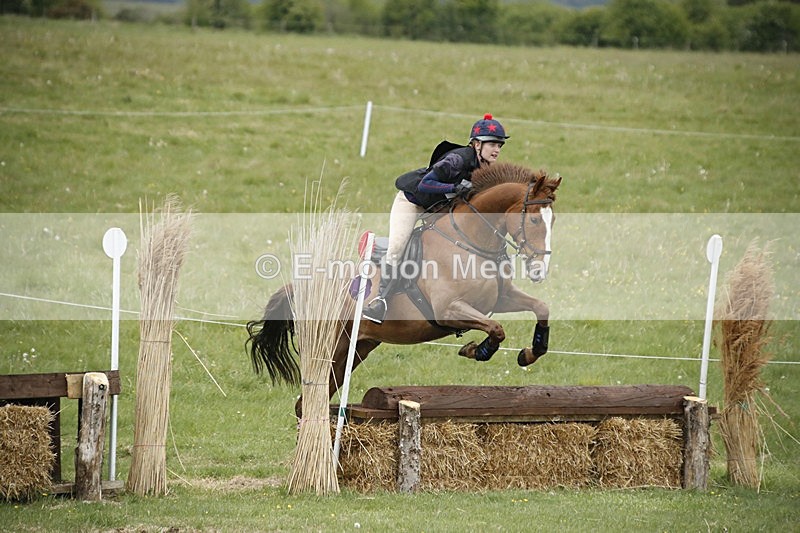 BVHT 140517  NXC -79 - Class 2 XC Novice 14/05/17