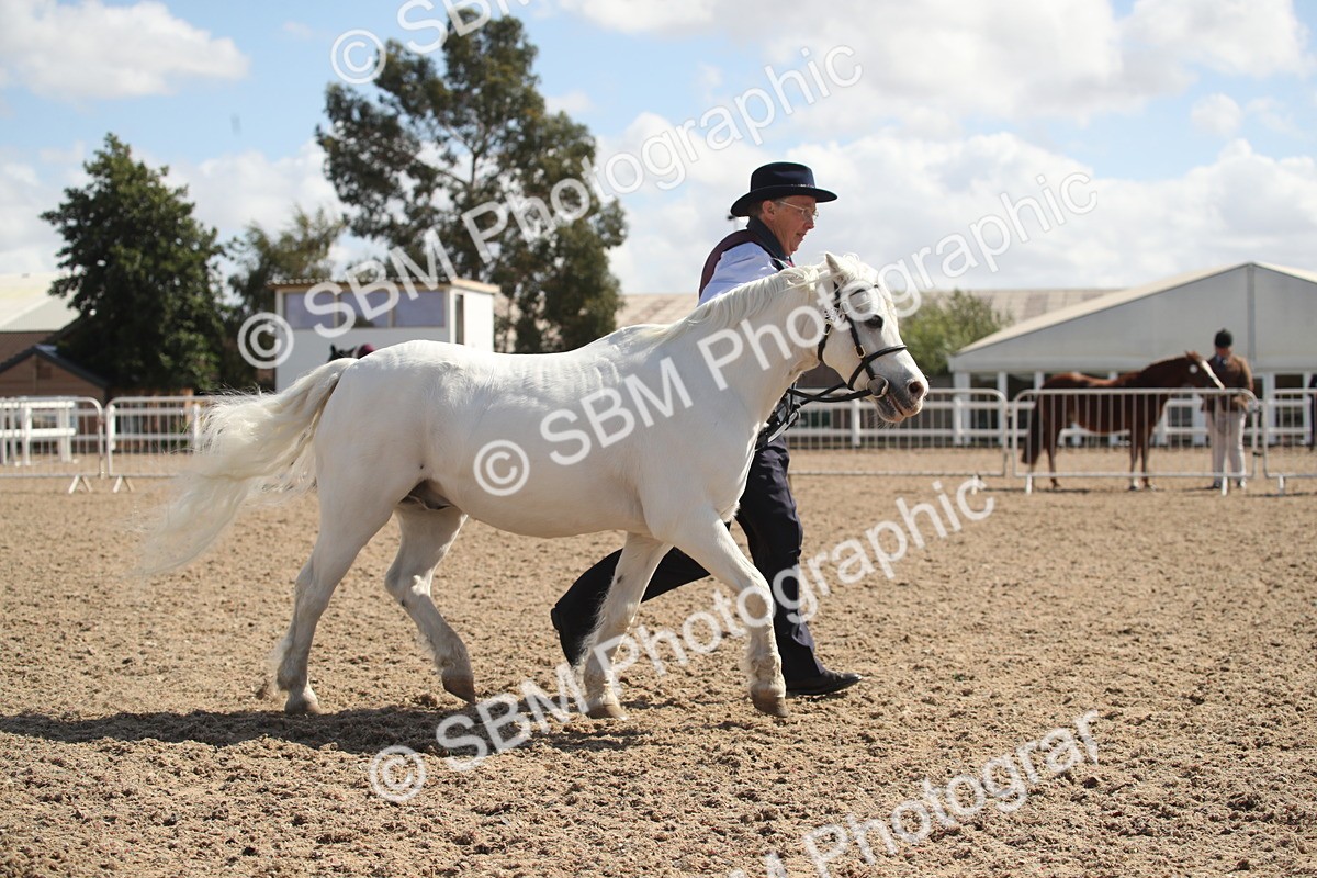 SBM_23541 - Class 605 - 2026 - Area - IH Veteran