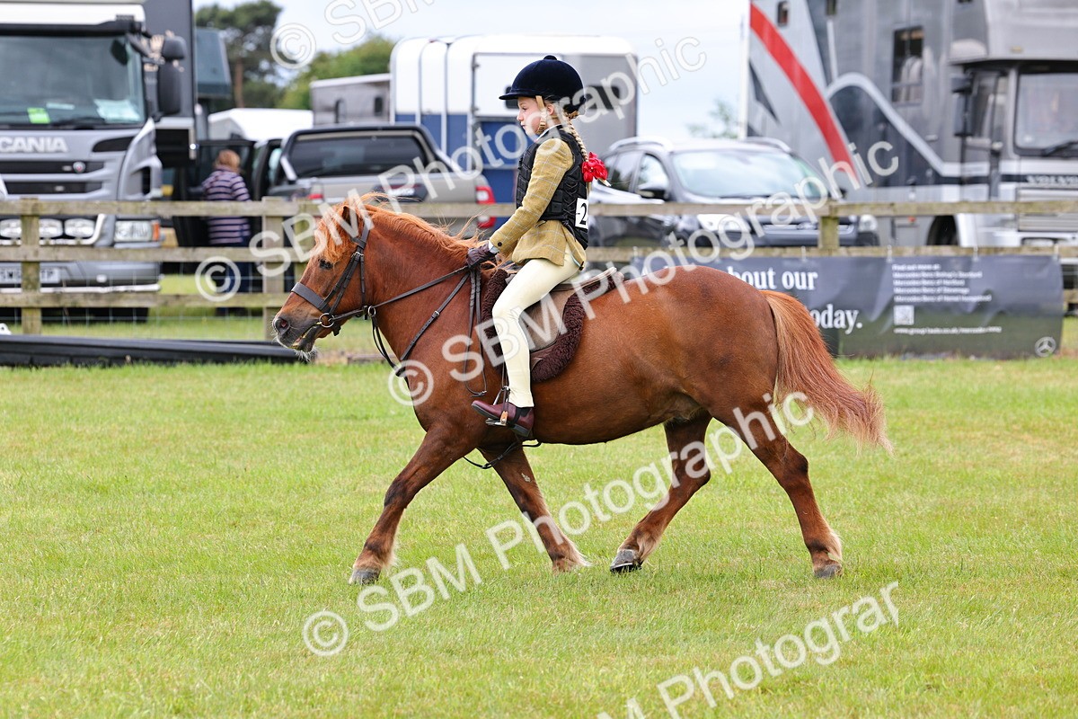 SBM_08639 - Class 42-43 - LIHS BSPS Heritage Working Sports Pony