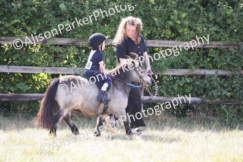20260906-2780 - Class 25 - Absolute Beginners Pony