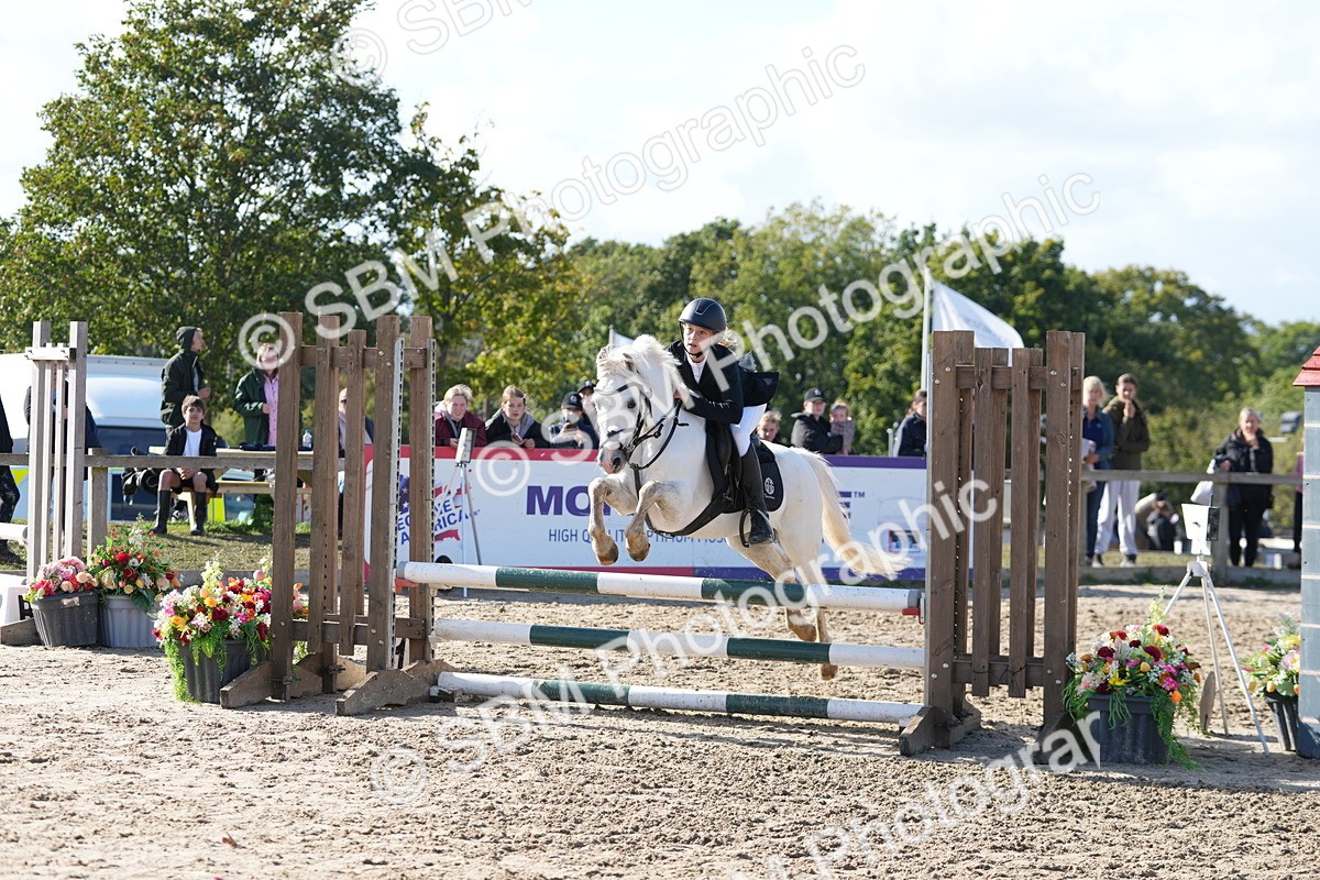 SBM_49244 - J8 - Junior Pony 65cm Championship