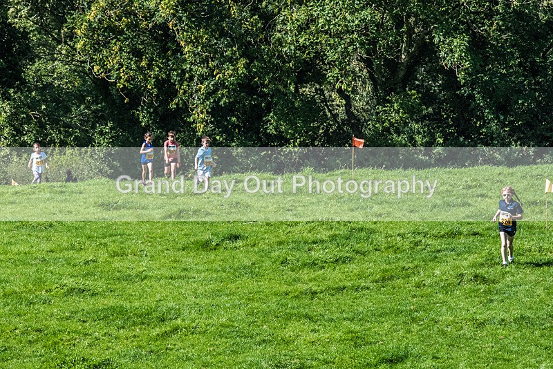 Loweswater Show-60 - Loweswater Show Junior & Senior Fell Races Sunday 3rd September 2023