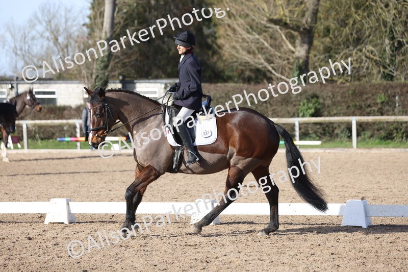 20260214-0559 - Class 5 - Novice 3