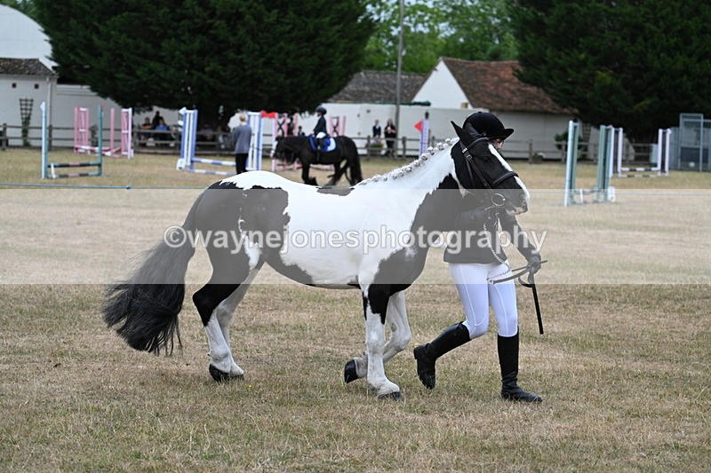 WJ7_8370 - Class 4 Prettiest Mare up to 14.2hh