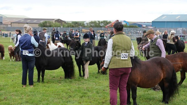 untitled-7171 - Shetland Pony Show
