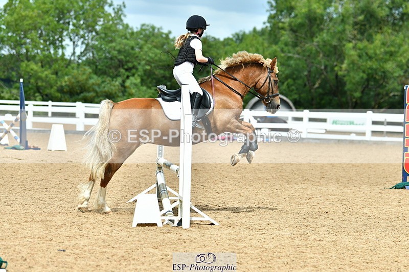 230804A-122837-02522 - Showjumping Competition