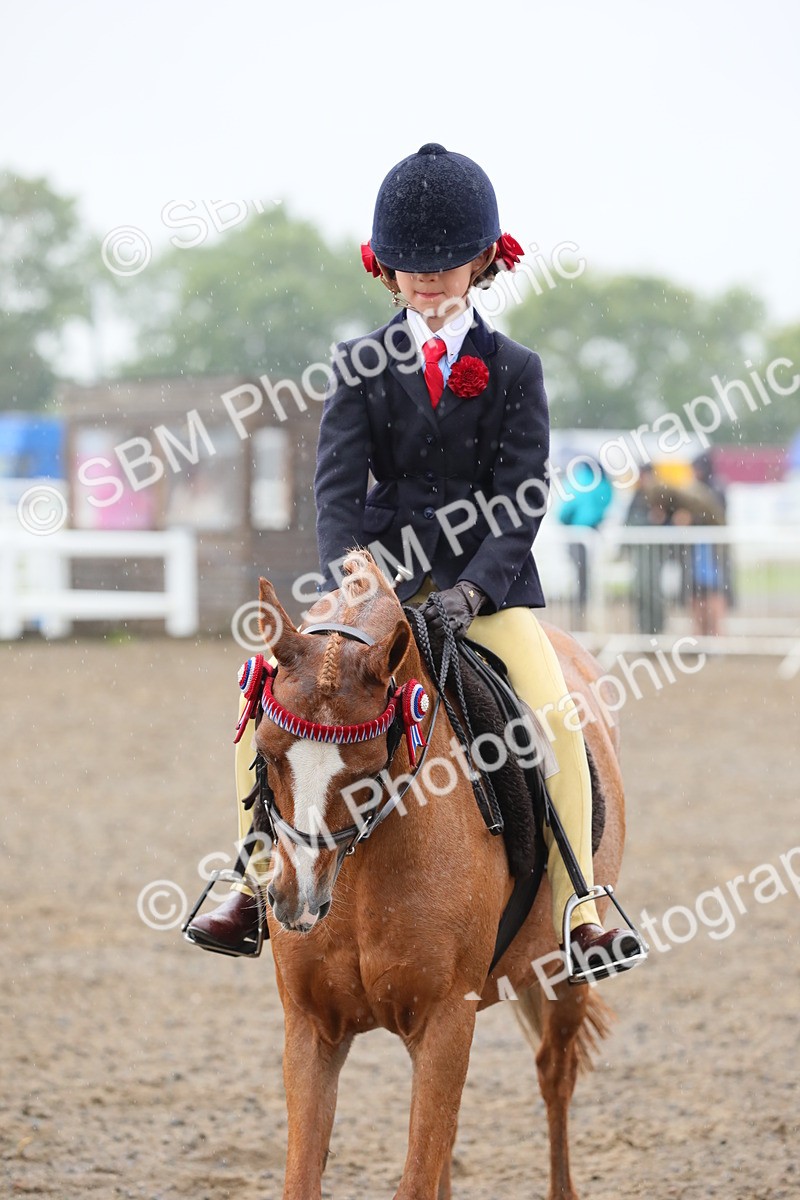 SBM_20619 - Class 804 - Ridden Veteran Pony