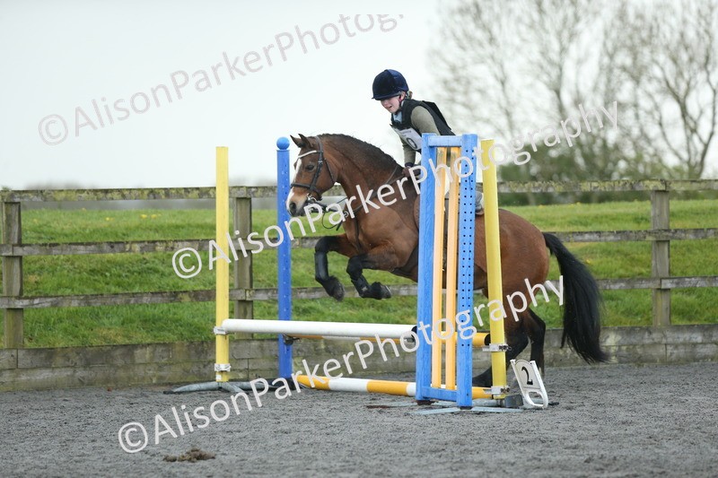 20260412-1903 - Show Jumping