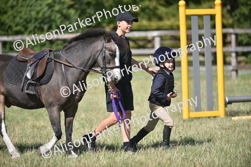 20260906-1428 - Class 8 - Hoof and Foot