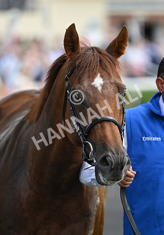 220826-120 Notable Speech - Race 3 15.00pm Sky Bet City Of York Stakes