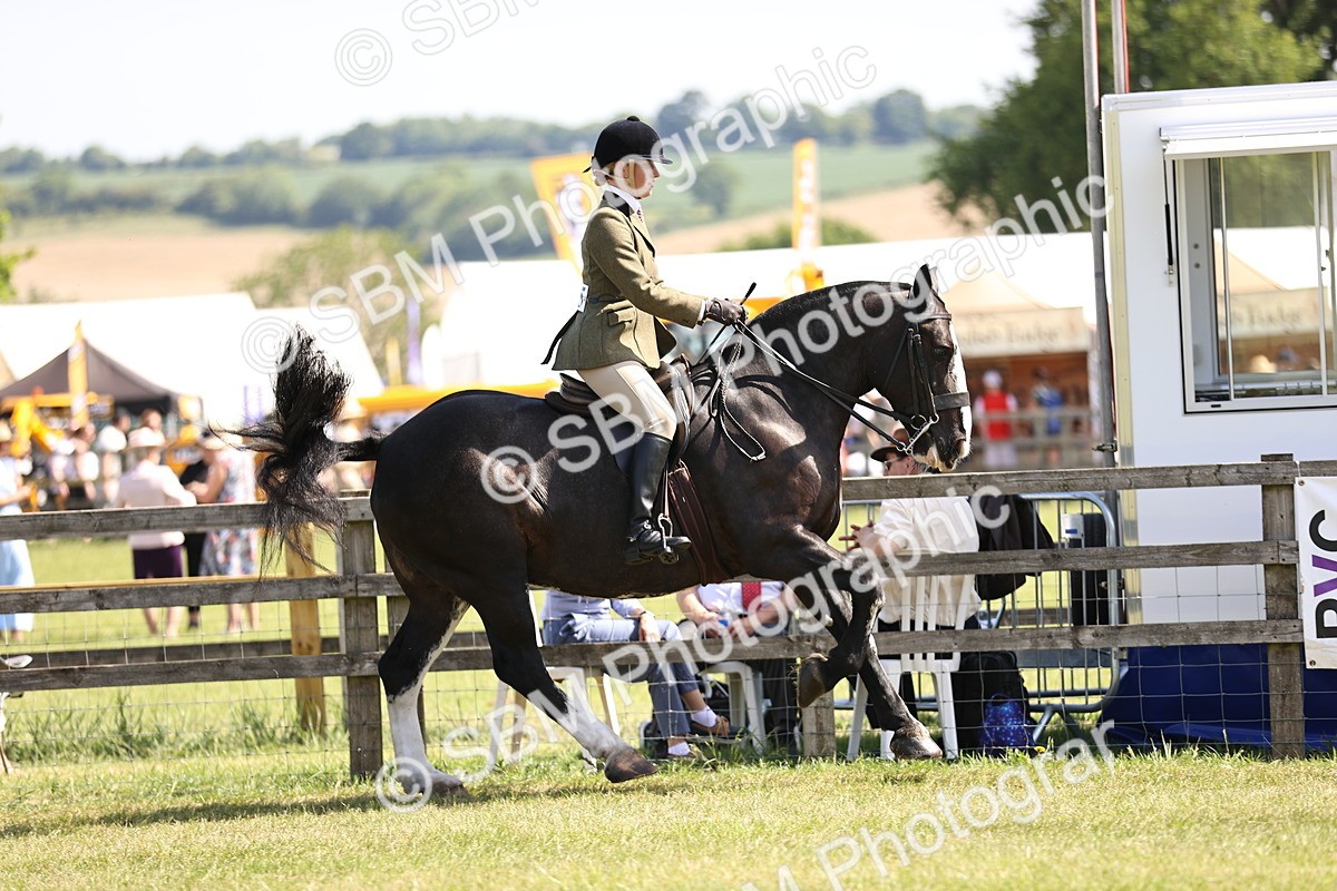 SBM_13715 - Class 77 - LIHS BSHA Rising Star Cobs