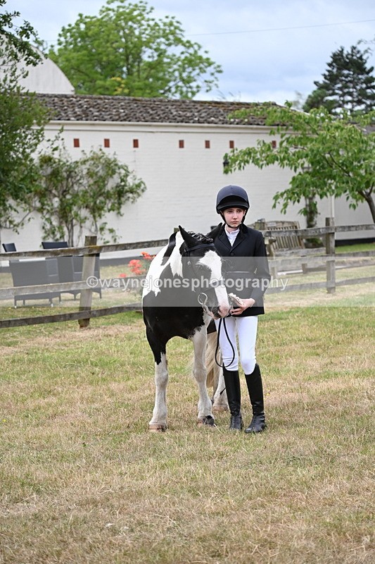WJ6_4533 - Class 10 Coloured In-hand